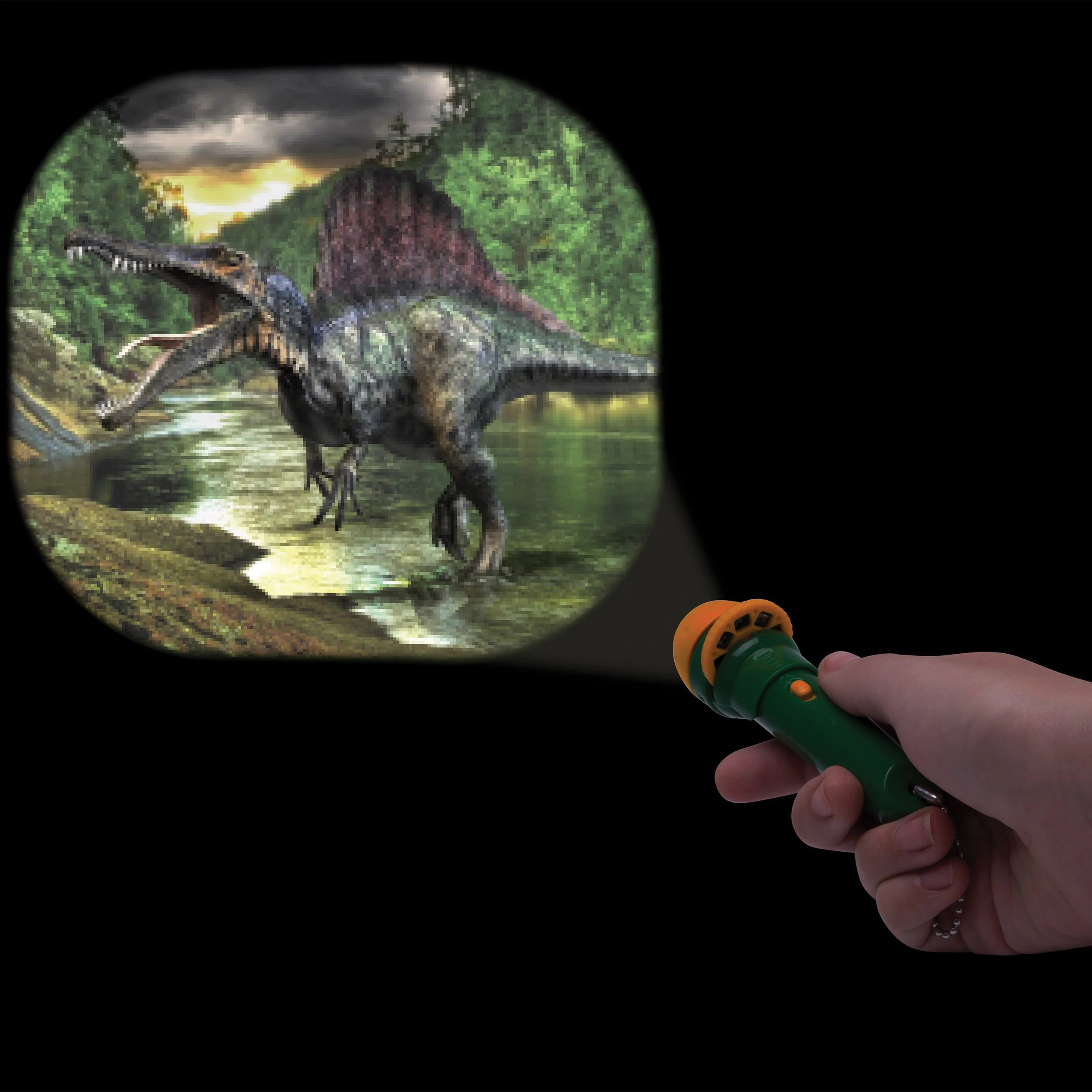 Thumbnail 5